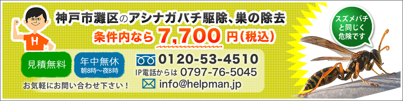 神戸市灘区のアシナガバチ駆除、巣の除去。安心価格でお受けいたします！